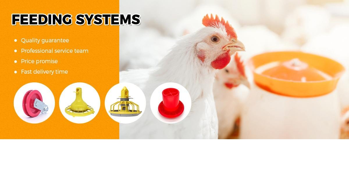 Feeding System